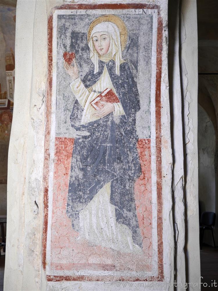 Carpignano Sesia (Novara, Italy) - Fresco of St. Caterina from Siena in St. Peter's Church